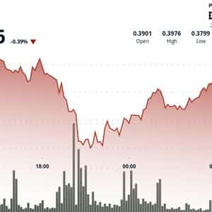 XLM Crashes Through Support as Volume Doubles in 24 Hours