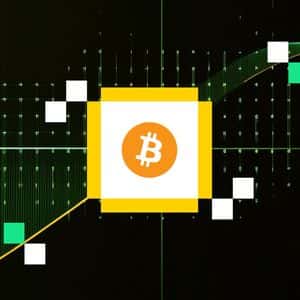 Corporate Bitcoin Buying Slows in August as Treasuries Add $5B