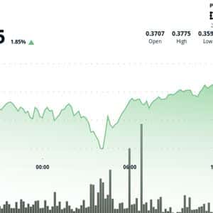XLM Consolidates After Sharp Decline, Testing Key Support Levels