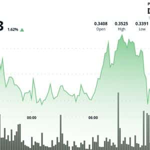 XLM Rises 6% to Recover From Weekend Plunge