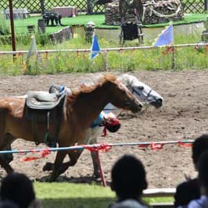 Analysis: DATs Keep Buying Bitcoin, Outperforming ETFs Is the Hard Part