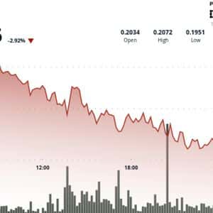 DOGE Trading Desk Flows Hint Bottoming. Watch $0.214 Flip for Momentum Trigger