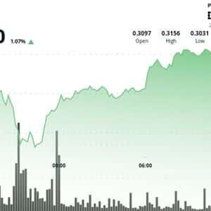Stellar Edges Lower 0.4% to $0.3123 as Partnership News Surfaces
