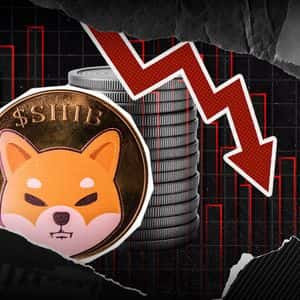 Shiba Inu and Massive 9,000,000,000,000 Loss: SHIB Price Effect