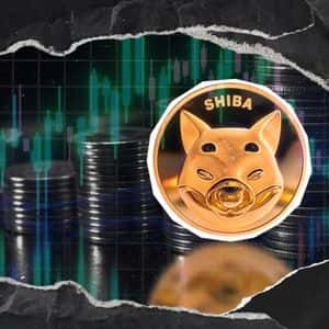 Shiba Inu (SHIB): 3 Days Left