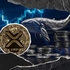 XRP Faces Brutal Whale Shake-Up: 40,000,000 Exits Millionaire Wallets
