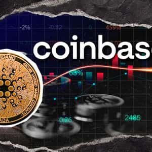 Mysterious Cardano Whale Empties Major Us Exchange for 67,926,042 ADA