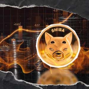 Shiba Inu Burn Rate Rockets 2033% as 5,700,223 SHIB Erased