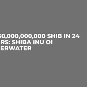 15,660,000,000,000 SHIB in 24 Hours: Shiba Inu OI Underwater