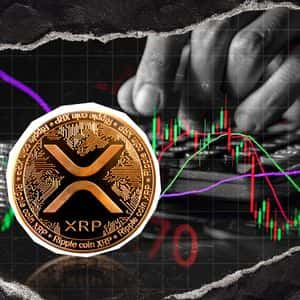 XRP Holders Didn't Panic Despite 50% Price Drop