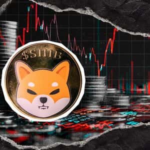 Shiba Inu (SHIB): 408,000,000,000 in 24 Hours is Gone