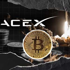 Elon Musk's SpaceX Makes Enormous Bitcoin Transfer: What's Behind It?