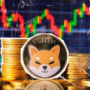 Bizarre Shiba Inu 836,955% Metric Surge, What’s Behind It?