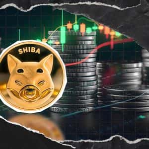 Shiba Inu (SHIB) is Saved? Fundamental Support Formed