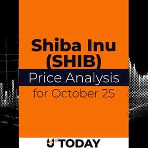 SHIB Price Analysis for October 25