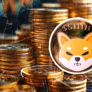 Shiba Inu (SHIB): Only 73,000,000,000 Netflows in 24 Hours Shows Emerginng Issues