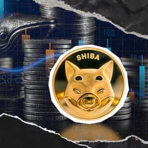 7,380,000,000,000 SHIB Puts OI in Flames as Price Removes Zero
