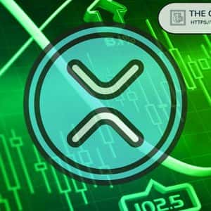 Market Technician Predicts XRP Price If it Touches This Chasm Line