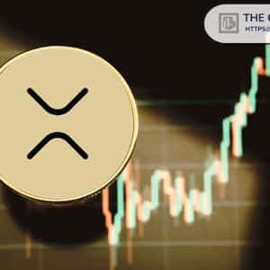 Analyst Explains Key Risk for Long-Term XRP Holders as Uptrend Strengthens