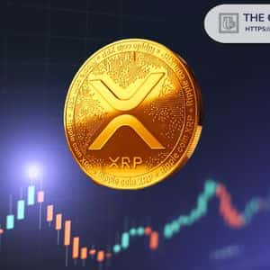 Expert Says When XRP Starts Moving, You Won’t Have Time to Build— Build Now or Regret Late