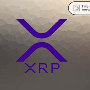XRP Showing Network Growth Despite Bearish Price Activity