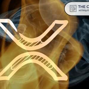 Expert Says XRP Gains Value from Utility, Not Burns