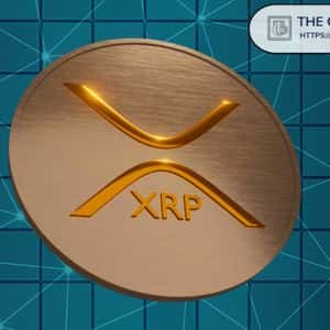 XRP 57% Vs 43%, Expert Explains To hold or Sell