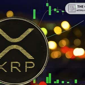 Research Firm Says XRP is Extremely Obvious, Just Requires Patience