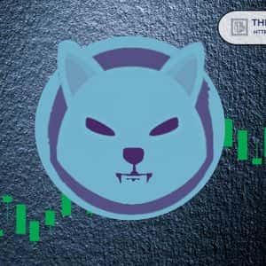 Analyst Says It’s Time for Shiba Inu to Rebound, Shares Three Targets