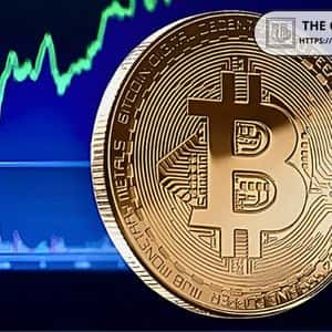 Bitcoin Holds Above $100,000 Despite 405,000 BTC October Sales: QCP Capital