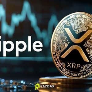 Ripple CEO Reveals What People Get Wrong About XRP