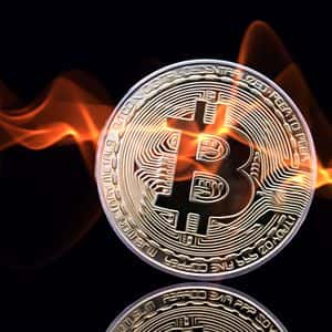 CryptoAppsy Empowers You with Real-Time Crypto Insights