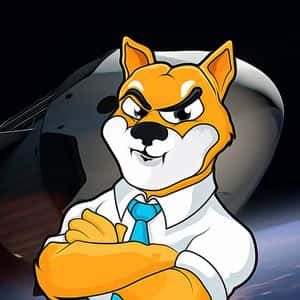 Shiba Inu Network Faces Multi-Million Dollar Flash Loan Attack