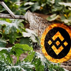 Binance Responds to Bold Allegations with a Firm Statement