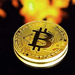 Seize Crypto Opportunities with Instant Alerts and Smart Tools
