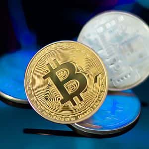 Bitcoin’s Price Drama Captivates as Whale Makes Bold Moves