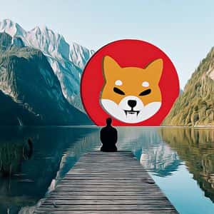 Shiba Inu’s Price Soars Despite Looming Investor Concerns