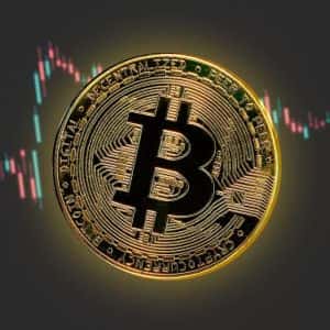 Bitcoin Options Data Shows Historical Movements: Here’s the Real Reason Behind BTC’s Rise