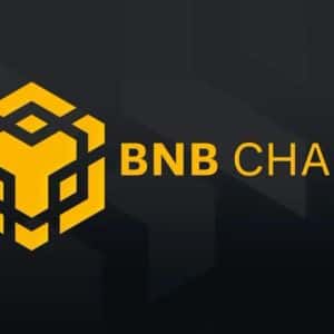 Memecoin Transaction Volume on BNB Chain Breaks Record! What Does It Mean? Here Are the Details