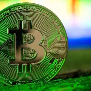 Cryptocurrency Market Heals Its Wounds: Bitcoin and Altcoins Show Signs of Recovery