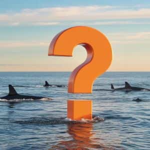 The Giant Whale Who Knew About the Last Crash and Earned $160 Million Opened a Short Position in Bitcoin Again! – Two Giant Whales Also Opened a Short Position ...