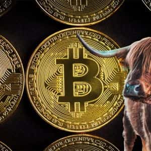 Bitcoin's Bull Cycle Isn't Over Yet, According to Analysis Firm CryptoQuant's Weekly Report! Here's the Support Level