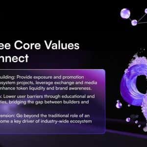 Cross-Ecosystem Co-Building: WConnect as a New Platform for Web3 Synergy