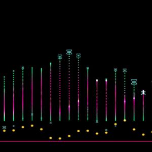 Jiuzi Holdings, Inc. Announces Phased Rollout of $1 Billion Cryptocurrency Acquisition Plan; First Bitcoin Purchase to Be Completed Within Two Weeks