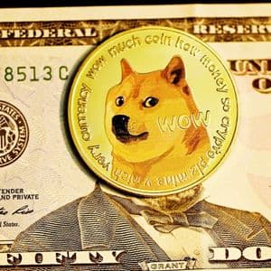 Exploring the Surge of Paydax (PDP) Backed by Dogecoin Millionaires