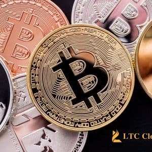 Exploring Stable Profit Generation with LTC Cloud Mining During Cryptocurrency Market Fluctuations