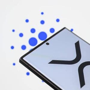 Is XRP Coming To Cardano? Founder Sparks Speculation After Midnight Airdrop