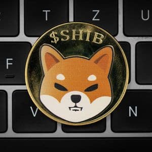What The LEASH V2  Launch Means For Shiba Inu Holders