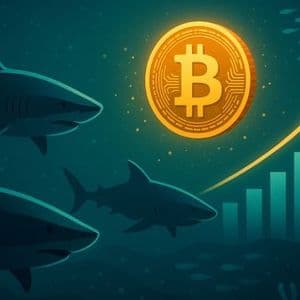 Bitcoin Sharks Add 65K BTC In 7 Days: Supply Squeeze Setup Strengthens