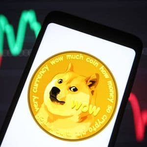 What Happens To The Dogecoin Price If The Bitcoin Price Crashes Below $65,000?